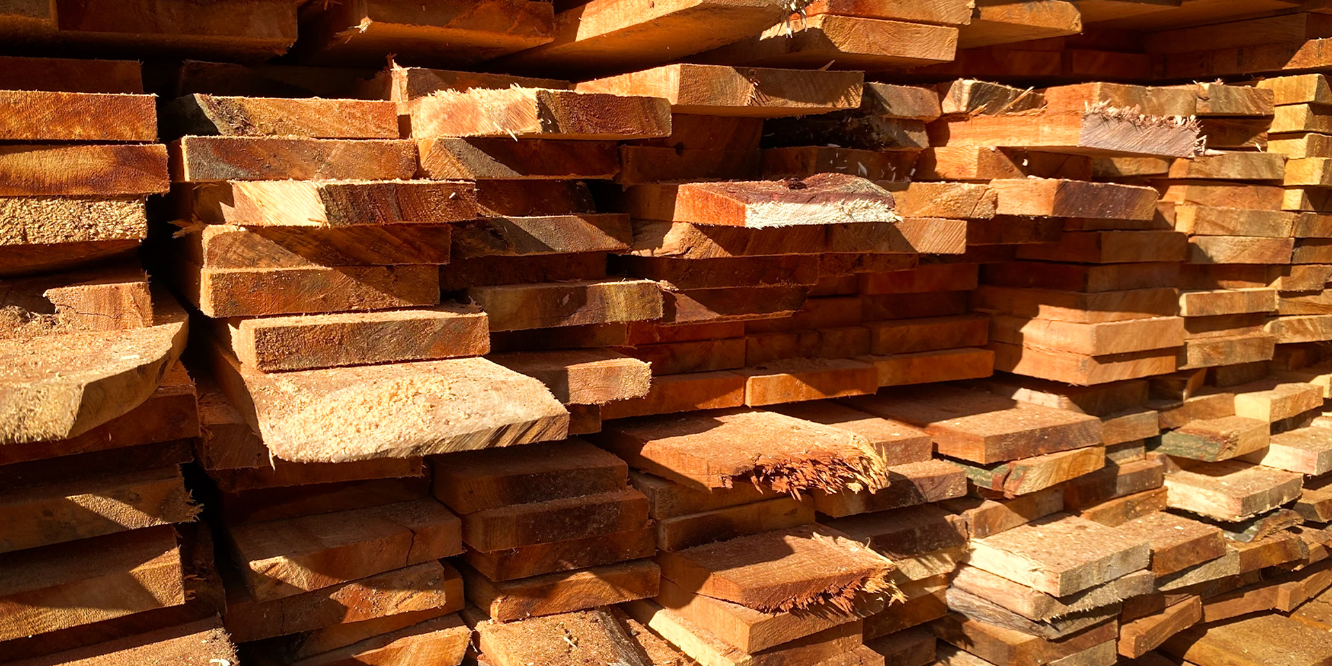 Timber Products